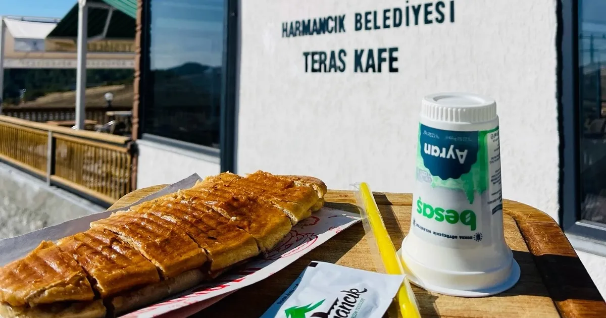 bursa harmancikta sosyal belediyecilik farki Xc2dsR2G