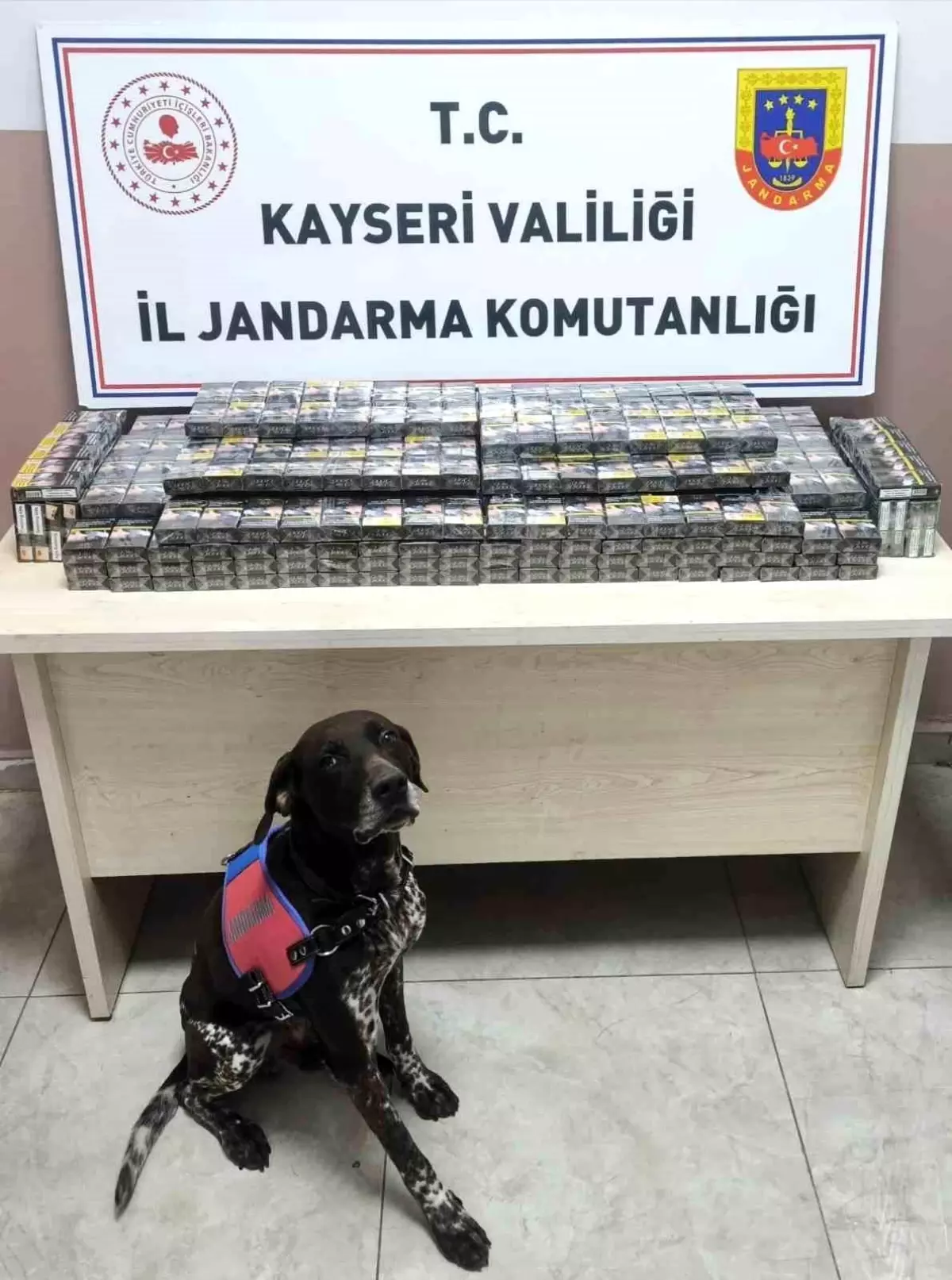 kayseride 560 paket kacak sigara ele gecirildi ggfLiEYq