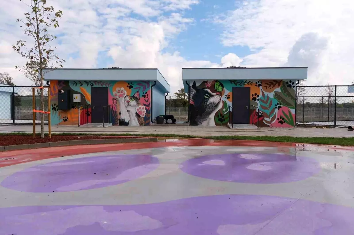 sakaryada dogal yasam kampusune renkli dokunus WYL7sTdz