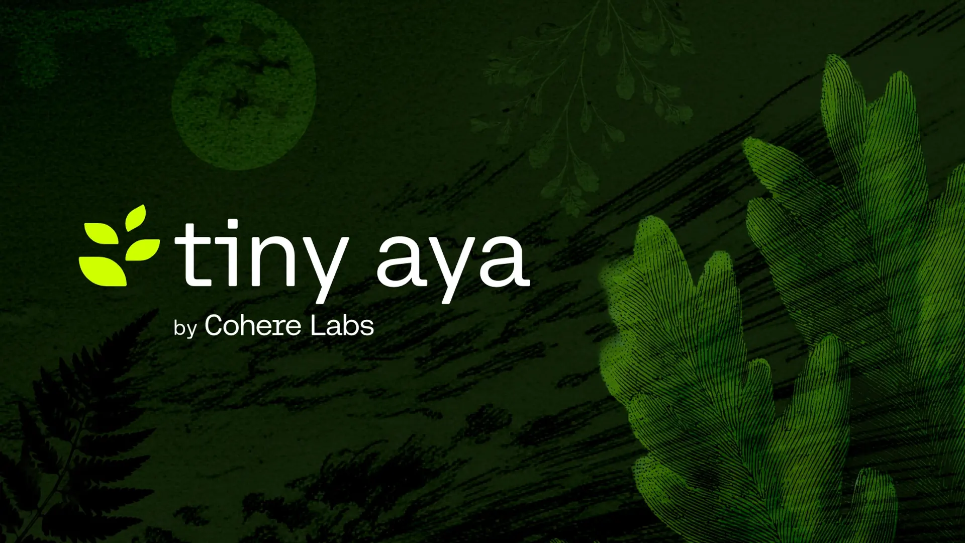 Cohere, yeni çok dilli yapay zeka model ailesi Tiny Aya’yı piyasaya sürdü