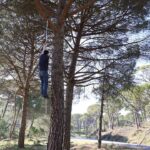 aydinda-olume-meydan-okuyan-hasat-kilosu-3-bin-lira-jFvAnDXu