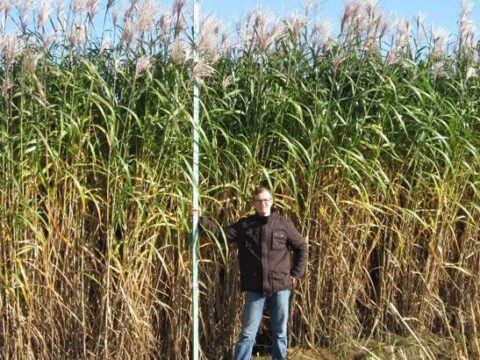 Bir koy petrolu birakti bahcedeki otla isinmaya basladi faturalari yuzde 75 dustu UOcBZ5DL