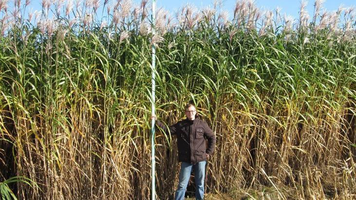 Bir koy petrolu birakti bahcedeki otla isinmaya basladi faturalari yuzde 75 dustu UOcBZ5DL